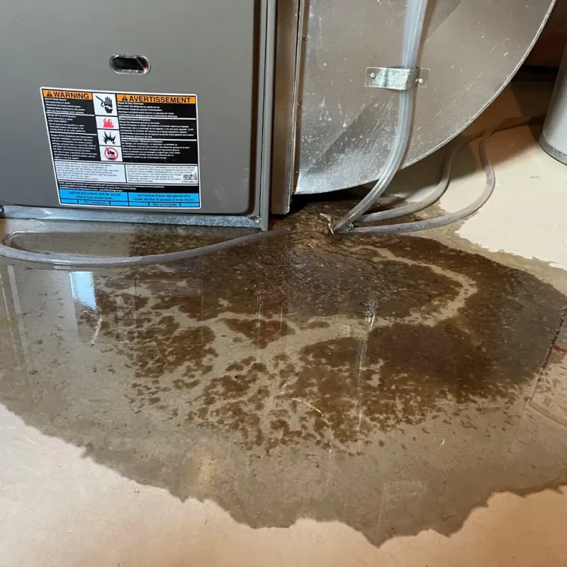 Appliance Leak Cleanup in Honokaa, HI