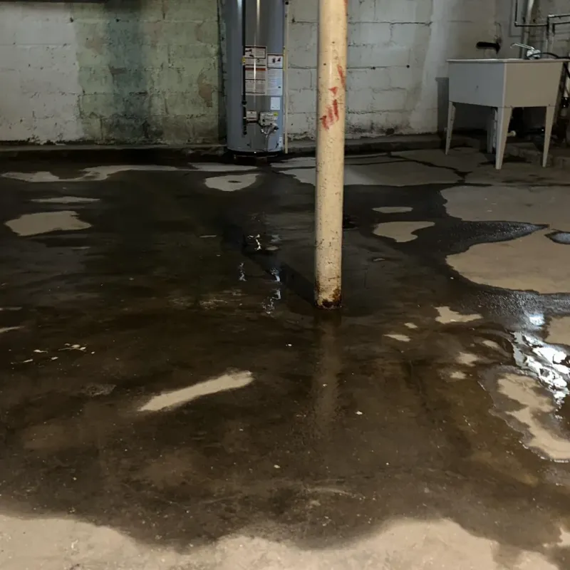 Emergency Water Extraction And Removal in Honokaa, HI